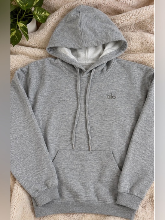 ALO Yoga Other - ALO Yoga Light Gray Quarter Zip Pullover